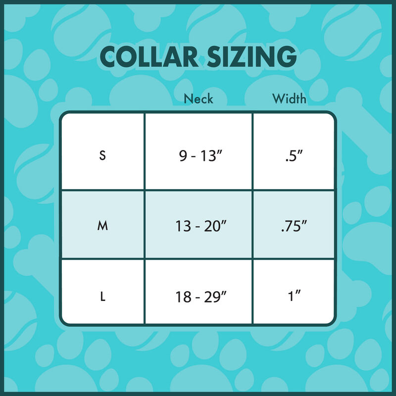 BEETLEJUICE - Sandworm Loungefly Pet Collar-Pet Accessory-Classic Horror Shop