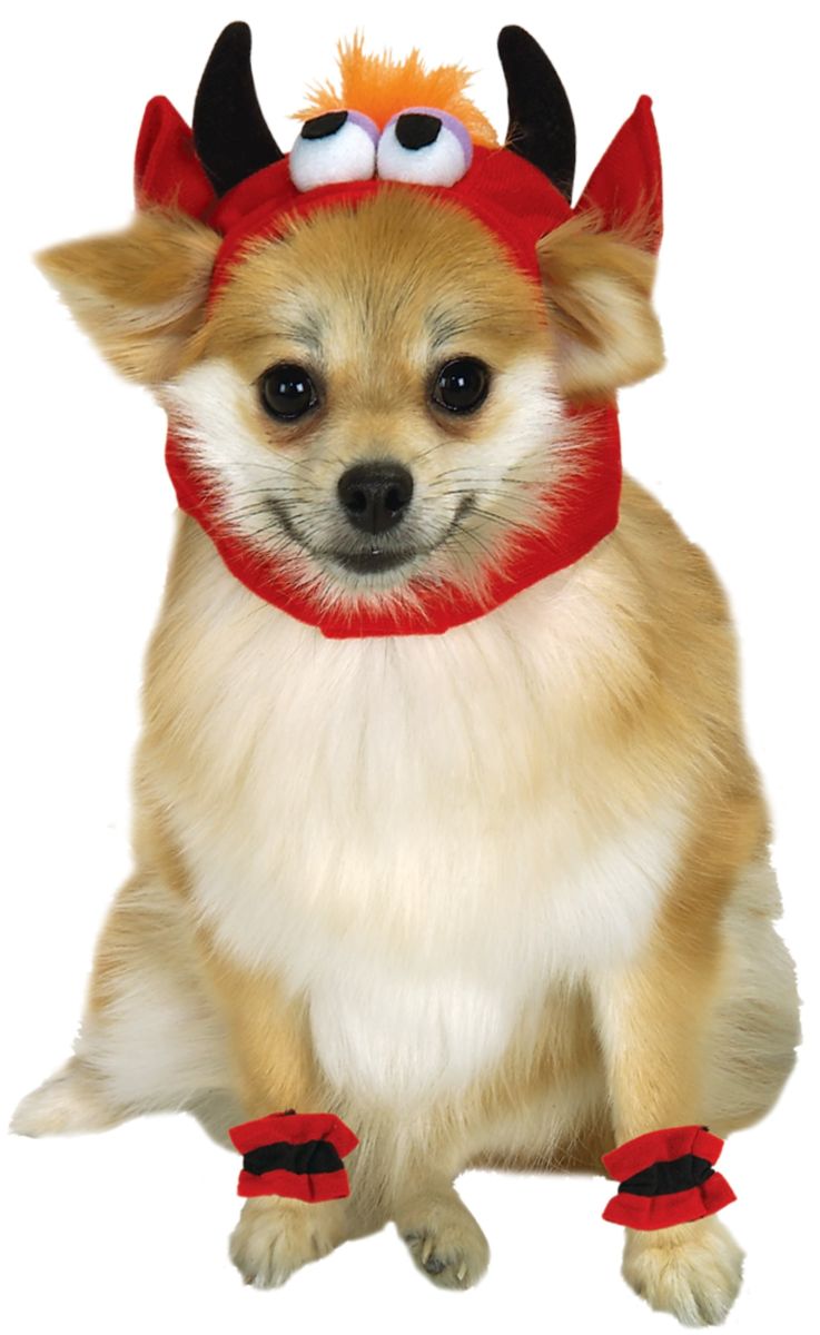 Devil Headpiece With 4 Pawcuffs Pet Costume-Pet Costume-1-Classic Horror Shop