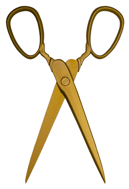 Jordan Peele's US - Scissors Prop-Prop-TTUS137-Classic Horror Shop