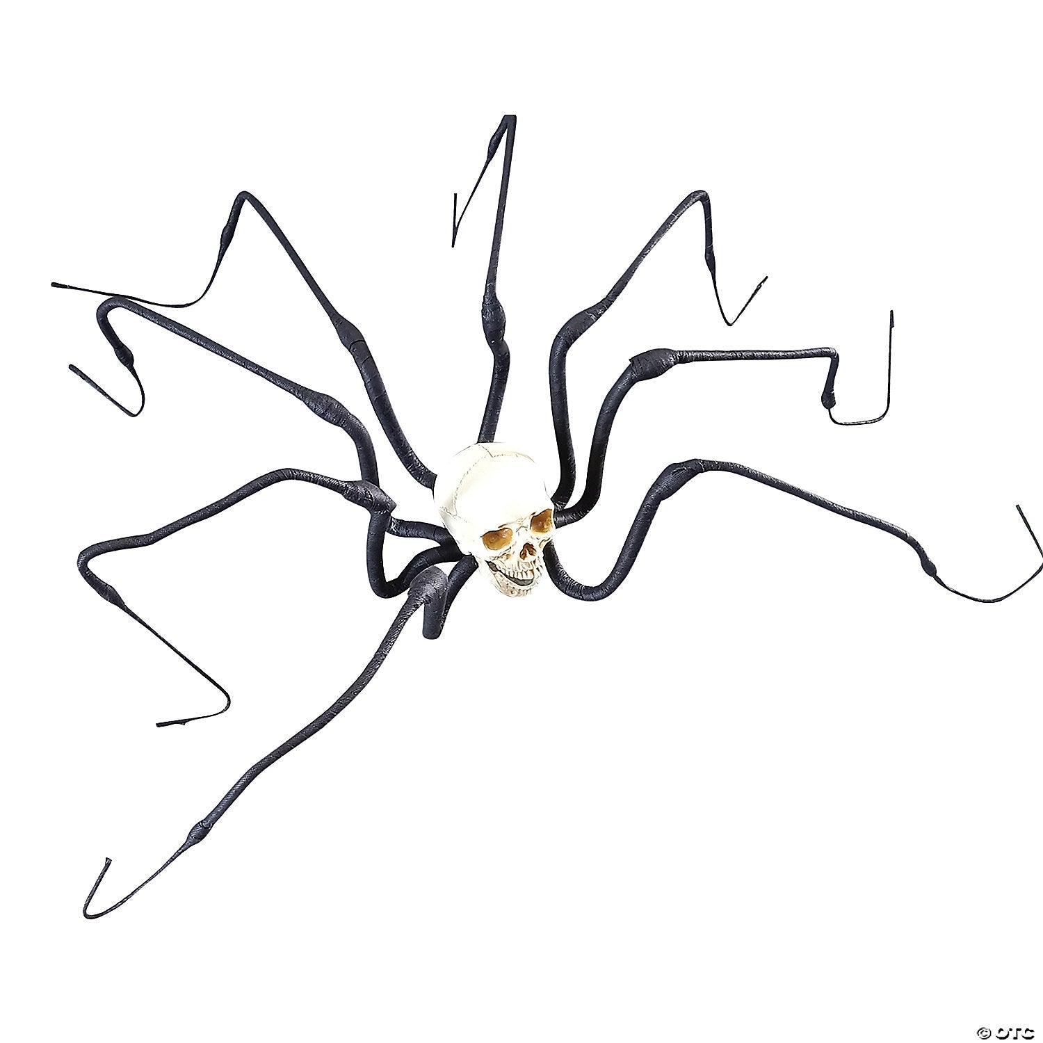 47-large-skull-spider
