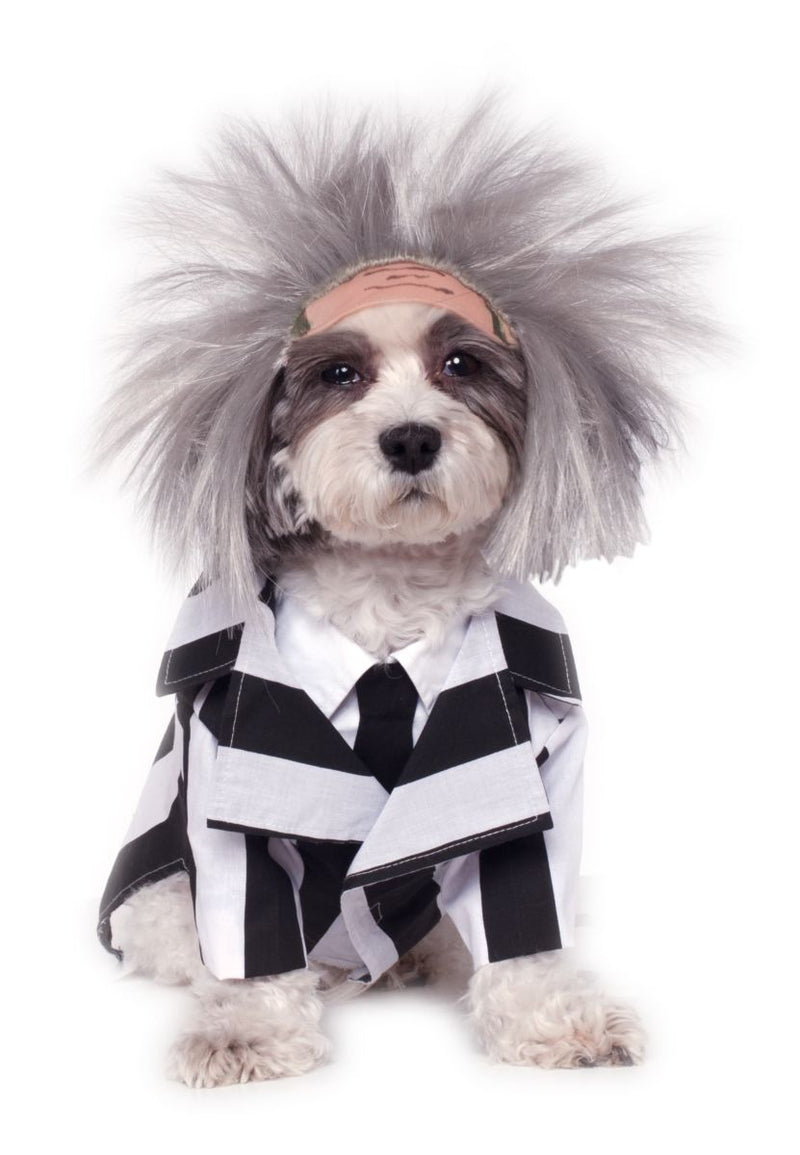 BEETLEJUICE - Pet Costume-Pet Costume-1-Classic Horror Shop