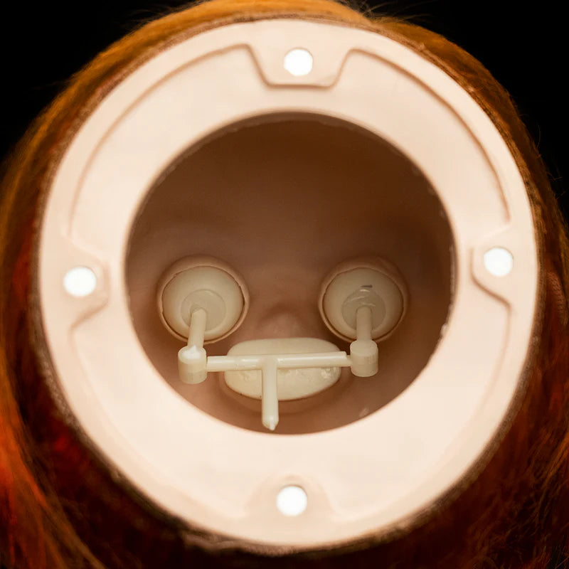 This is a Child's Play 2 Ultimate Chucky doll and his head is detachable and you can see the back of the eyes 