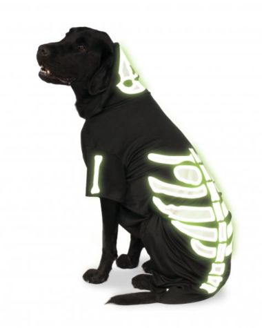 Glow-In-The-Dark Skeleton Pet Hoodie-Pet Costume-1-Classic Horror Shop