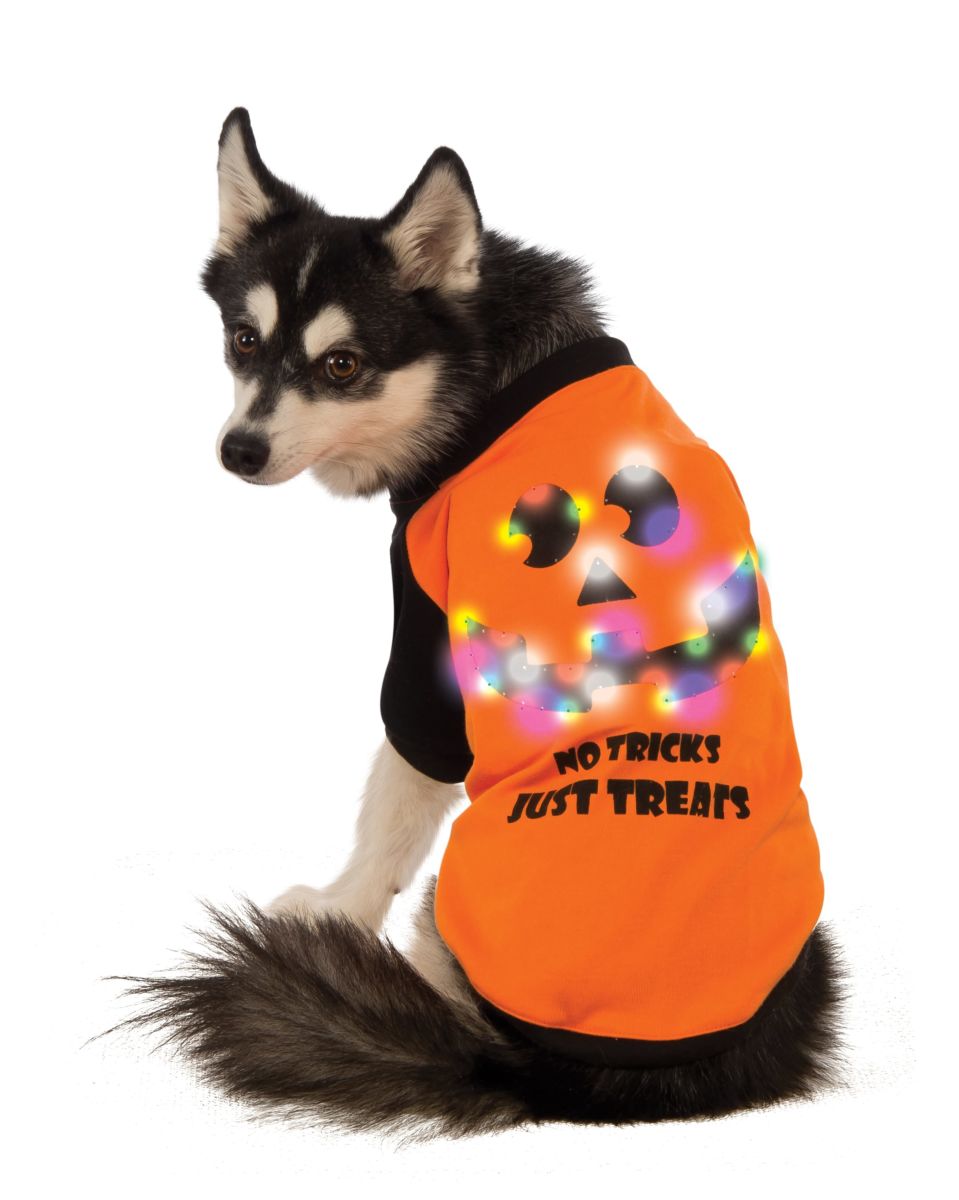 No Tricks Just Treats LED Pet T-shirt-Pet Costume-1-Classic Horror Shop