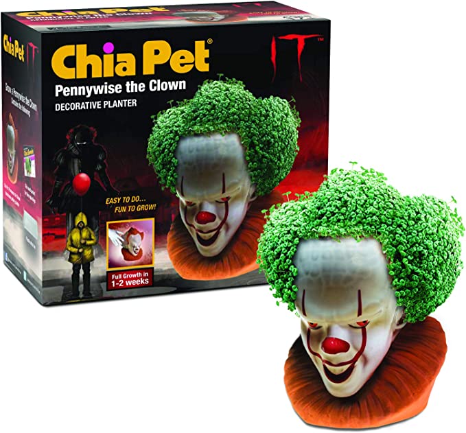 This is a Pennywise It Movie Chia Pet and he has a white face, orange collar, red eyes and nose and his hair is a green plant.