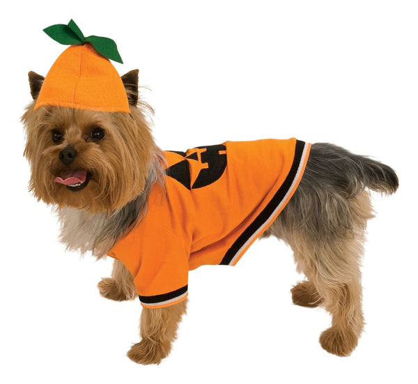 Pumpkin Pet Costume-Pet Costume-1-Classic Horror Shop