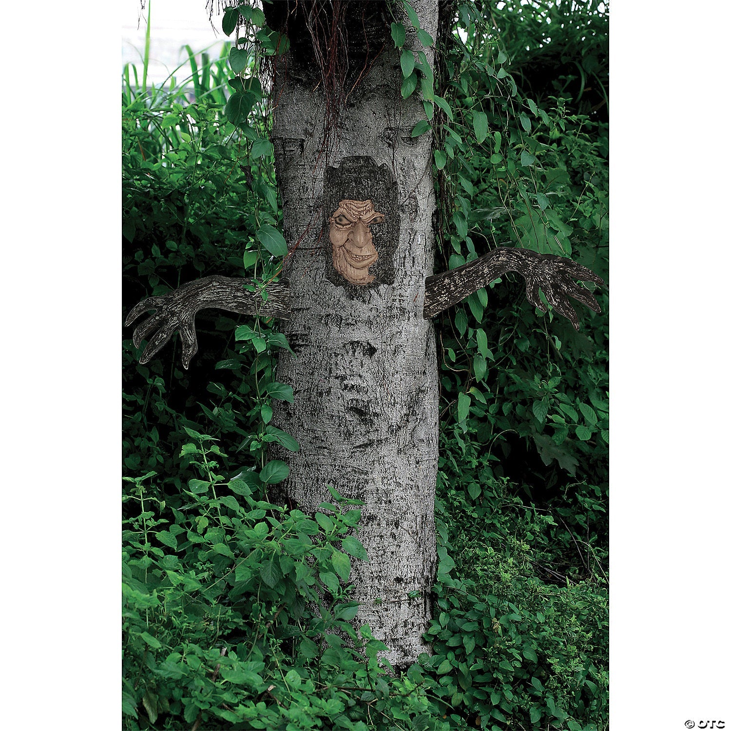 creepy-living-tree-decoration-set-3-pc