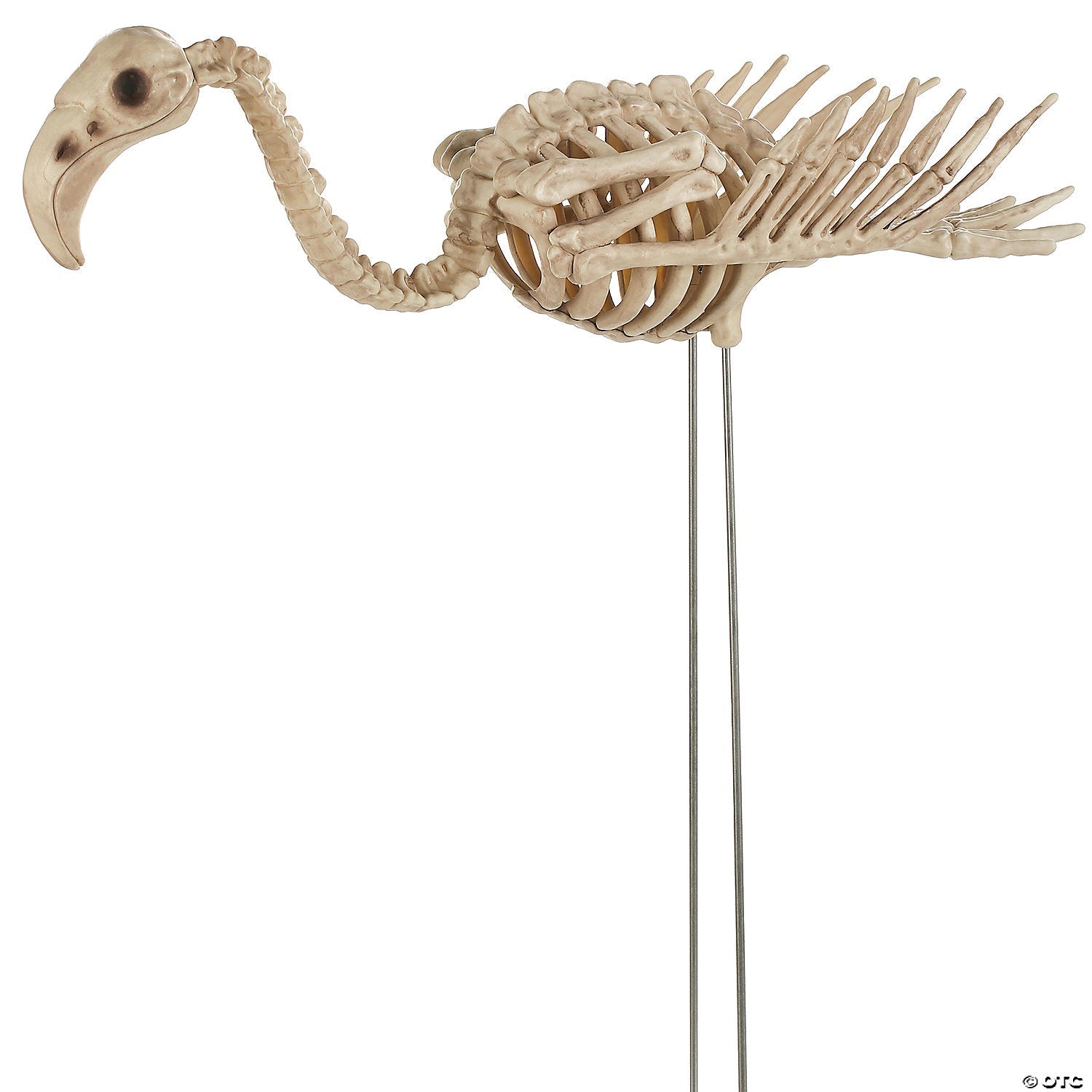 flamingo-skeleton