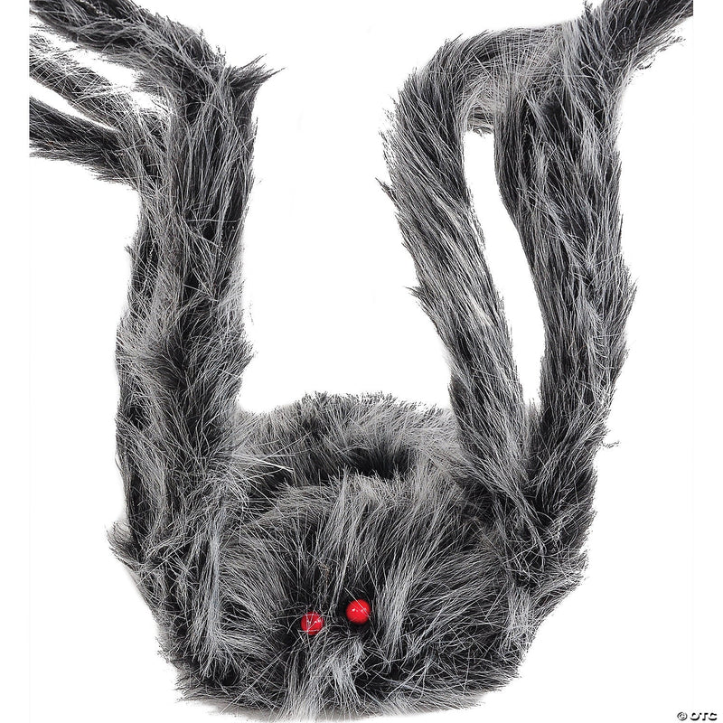 giant-gray-spider