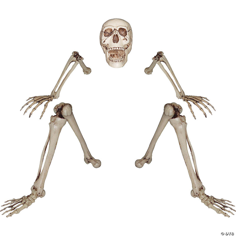 skeleton-groundbreaker-decoration