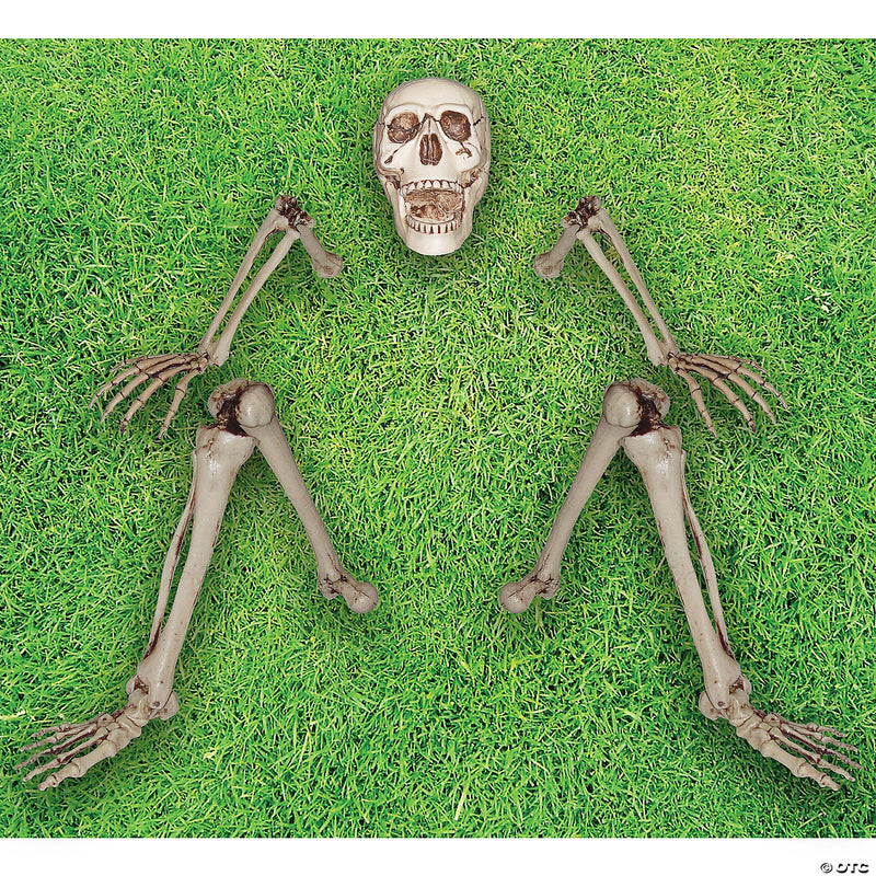 skeleton-groundbreaker-decoration